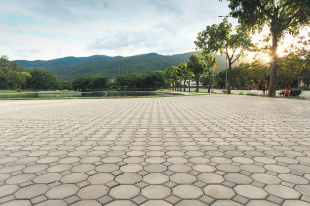 Best Local Driveway Pavers  in El Macero, CA